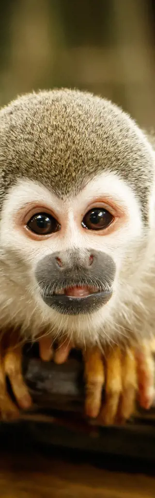 Erlebnisreisen Ecuador